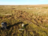 RP_stone(NewbyMoss)1.JPG