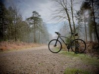 IMG_0269.jpeg