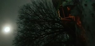 moonlit camp.jpg