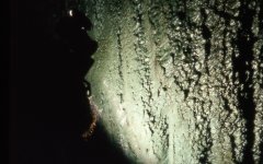 GreenCavePhyto.JPG