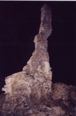 phyto3.jpg
