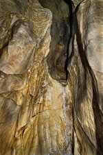 _IGP2763_sm.jpg