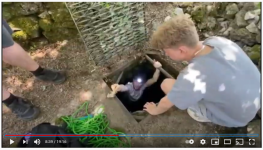 YT Darwin1.png