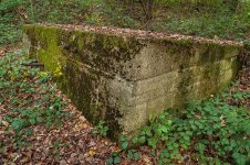 _IGP2417_sm.jpg