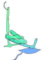 Grand day out AssaultC.png