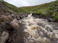 flood-8 Aug.jpg