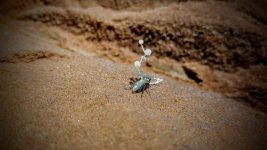 20180614_214834.jpg