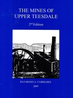 up tees272.jpg