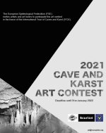 PosterFSEartcontest.jpg