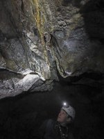 IMG_3924.jpg