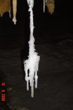 DSC01253.JPG