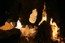 IMG_8880.JPG