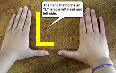 hand-forms-l4.jpg