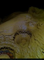 Rigotte27ex_07-2020 (45).JPG