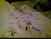 Rigotte27ex_07-2020 (37).JPG