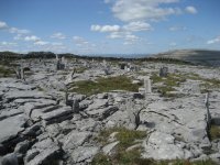Burren.jpg