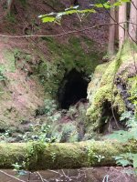 IMG_20210804_083646371.jpg