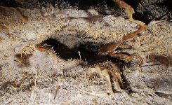 Gingling Hole 4 low-res.jpg