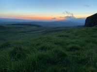 IMG_3488.jpeg
