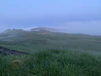 IMG_3498.jpeg