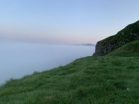 IMG_3499.jpeg