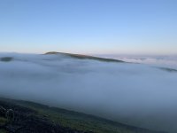 IMG_3507.jpeg