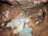 IMG_1319.jpeg