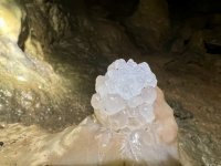 IMG_1353.jpeg
