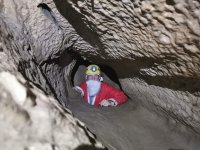 IMG_1037.jpeg