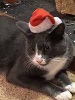 IMG_1016.jpeg