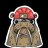 The Walrus