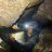 Em-caver