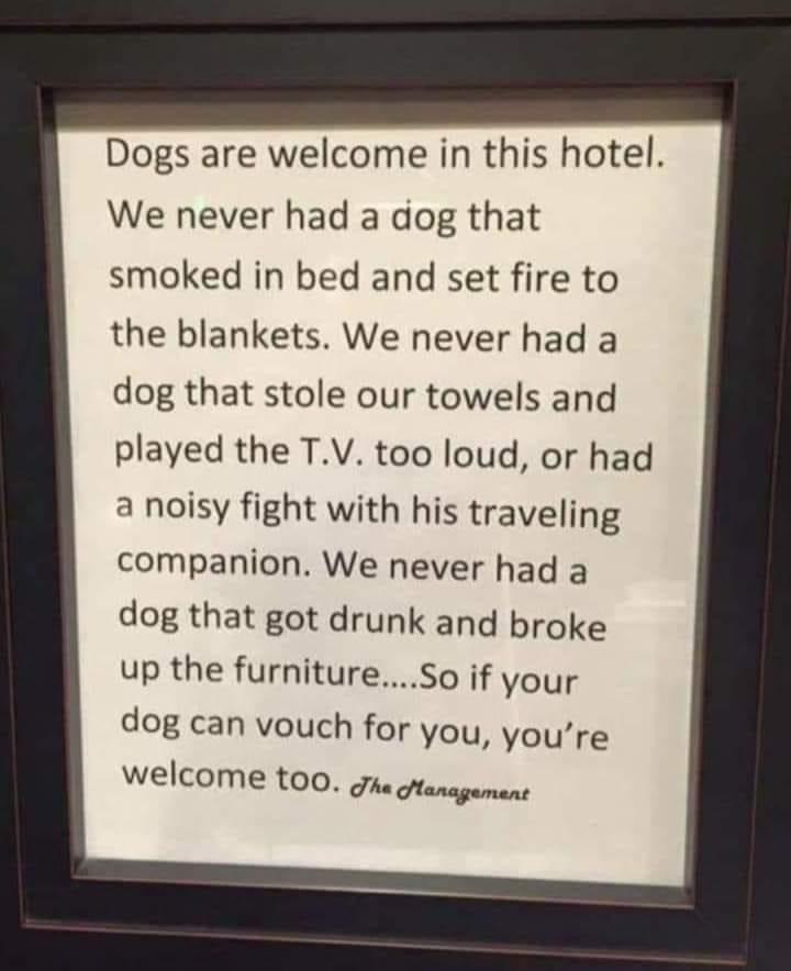 dogs welcome in hotel .jpg
